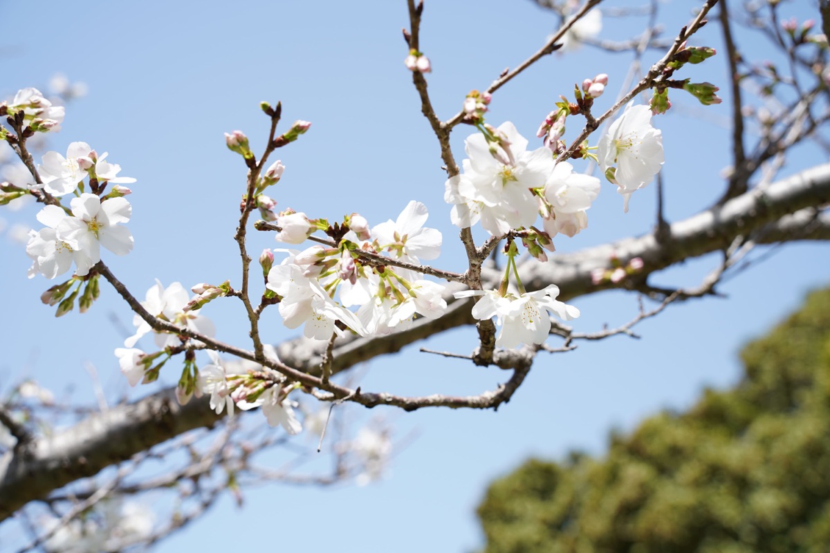 2023年度学位授与式