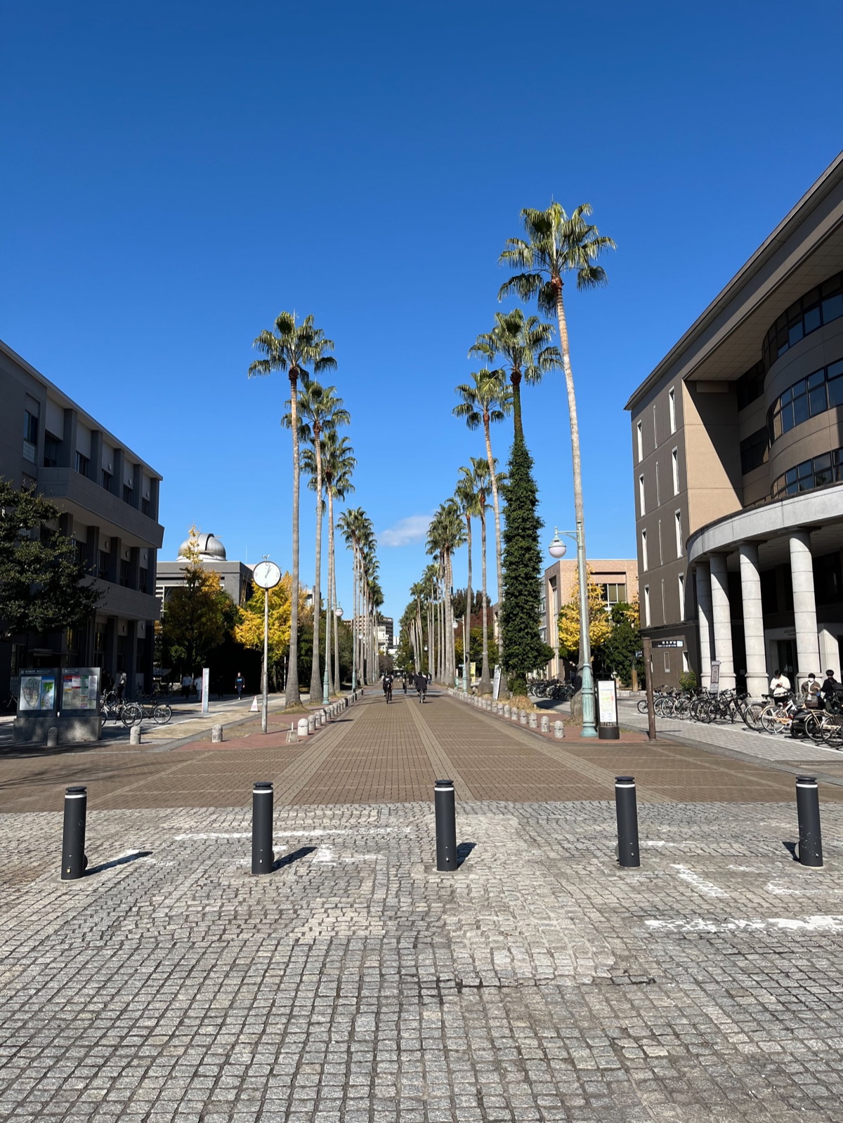 Dynamics Days Kagoshima 2025